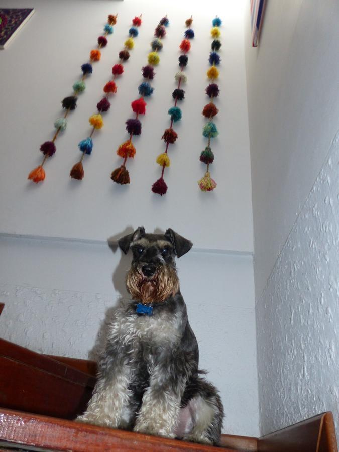 The Lighthouse Bed and breakfast 2*